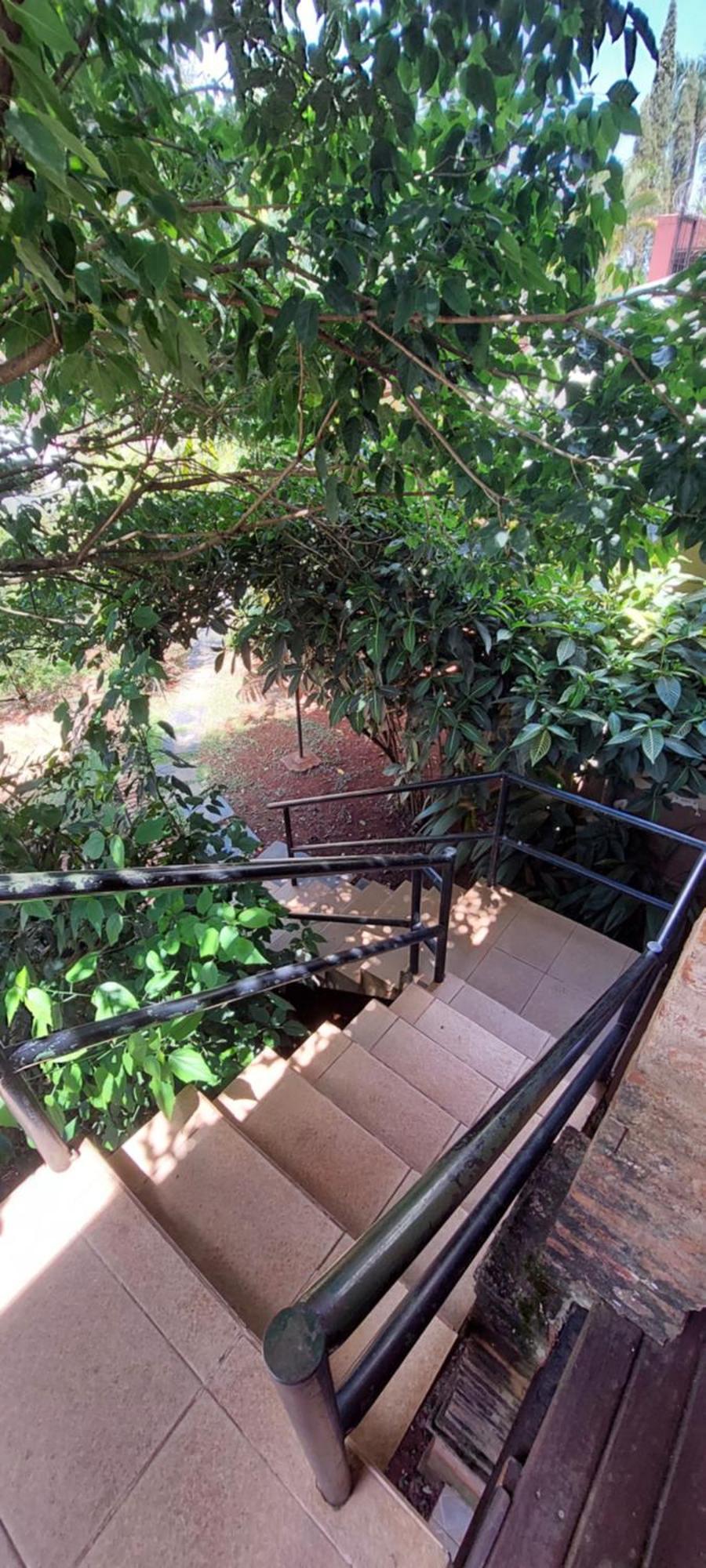 Hospedaje Los Vencejos Puerto Iguazú Dış mekan fotoğraf